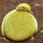 m o ii s t