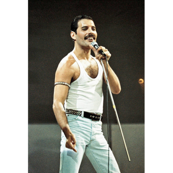 Freddie Mercury live concert