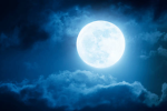 -Moonlight Pirates-