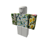 daisy shirt