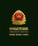 山东省 武装警察部队 [RP]