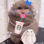 Pookie Tribe Group Thumbnail