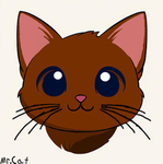 Mr.cat little group