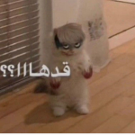 TARAF_ROBLOX