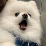 jaczxii <3