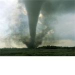 The Tornado Fan Club