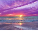 Suns!