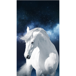The Magic of Horses