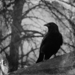 Vile Silence