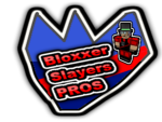 Bloxxer Slayers PROS