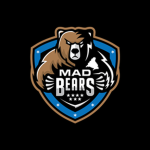 BearBloxYT
