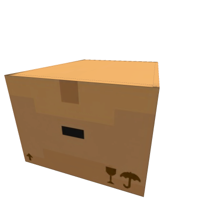 Cardboard Box