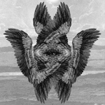 Followers of Raven