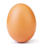 The egg cooperation