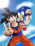 Sonic cool 200338