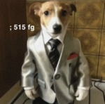 515 ; Private fg