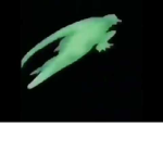 speen.mp4