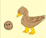 Ducks and cookies!