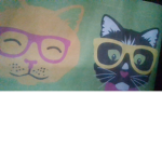 cats & dogs are cool