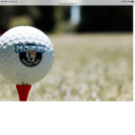 Hockey and golf group