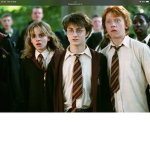 Harry Potter and horse fans group