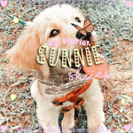 Sunnie Skiies