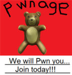 The Teddy Bear's of Pwnage