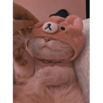 uyuz