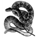 Snake militia Milatary Police
