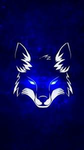 Fox_Rj