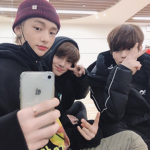 sungvhs
