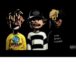 The vibe ppl