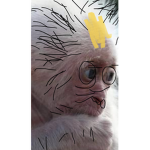 HEEYY KOKO
