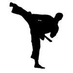 Jim Kin Karate Academy