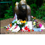harambe people