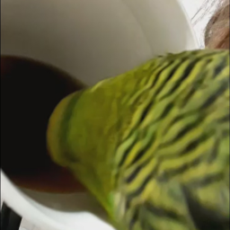 १