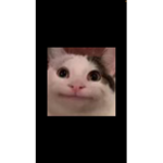 Hi guys welcome to my group ok have a happy time