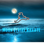 [ moon strike karate ]