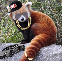 The red Gaming Panda fan group's Place