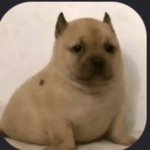 RLS_BÄŚŤĄŘÐ_MŪŅÇĦÊŇ