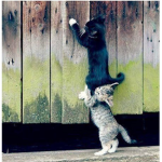 Only help