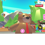 Bear Spuad