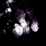 needlе