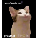Da cats!!