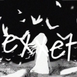 exxets