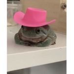 LeapFrog Home store