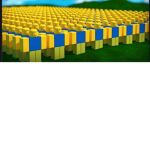 Noob united 2020