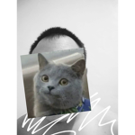 Zen a ja lah ya