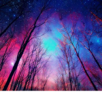 Twilight Forest