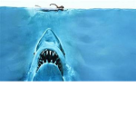 SHARK BOYZ YT FAN GROUP